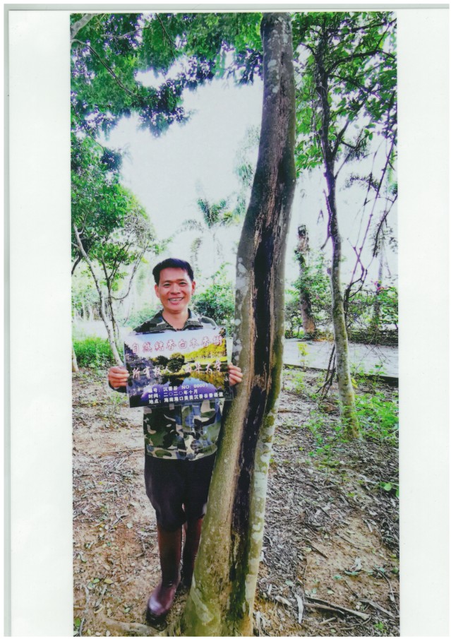 30 凌巧 自然结香白木香树所有权(编号:沉香谷NO00001) 30 凌巧 自然结香白木香树所有权(编号:沉香谷NO00001)